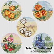 Circles with Autumn flowers cross stitch pattern
