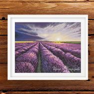 Lavender Cross stitch pattern Lilac Twilight