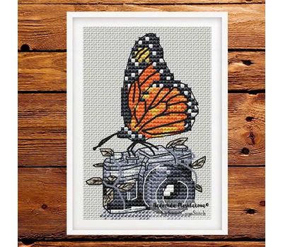 Camera and butterfly cross stitch