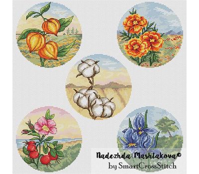 Circles with Autumn flowers cross stitch pattern