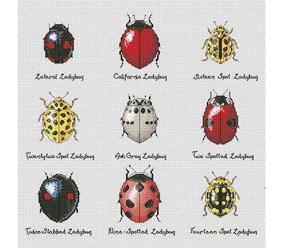 Ladybugs Sampler cross stitch