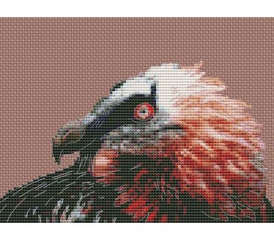 Vulture Head cross stitch