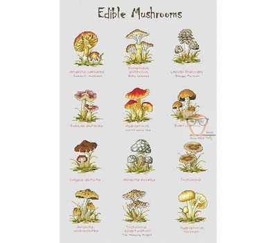 Edible mushrooms cross stitch