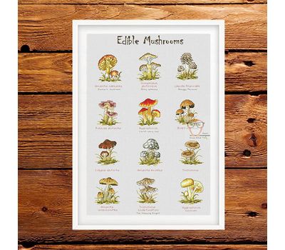 Edible mushrooms cross stitch pattern