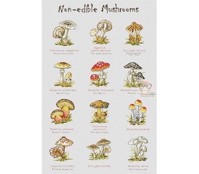 Non-Edible mushrooms cross stitch