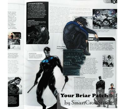 Nightwing cross stitch