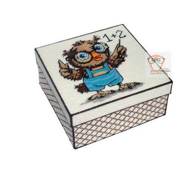 Owl & Math plastic canvas tissue box}
