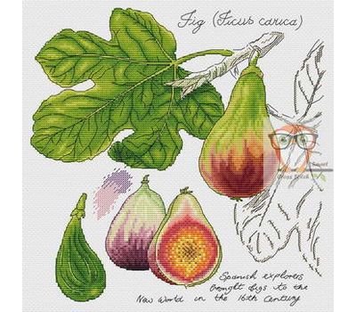 {en:Plants cross stitch pattern Fig Fruits;}