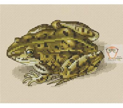 Animalistic Cross stitch pattern The Frog}