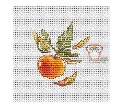 Fruit Cross stitch pattern Apple}