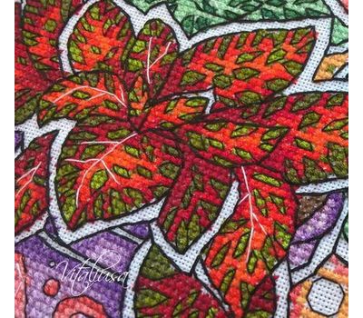 Flower cross stitch pattern Phittonia}