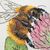 Bumblebee & Clover Free cross stitch pattern stitched