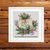 Squirrel and Bee Cross stitch pattern square frame