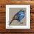 Blue Bird Prince Cross Stitch Pattern