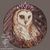 Twilight Owl round cross stitch chart