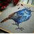 Blue Bird Prince Cross Stitch Pattern framed