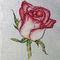 Blush Rose cross stitch design