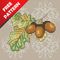 Acorns Free cross stitch pattern